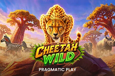 Cheetah Wild